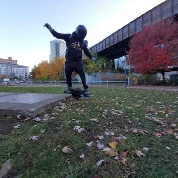 lilleech33